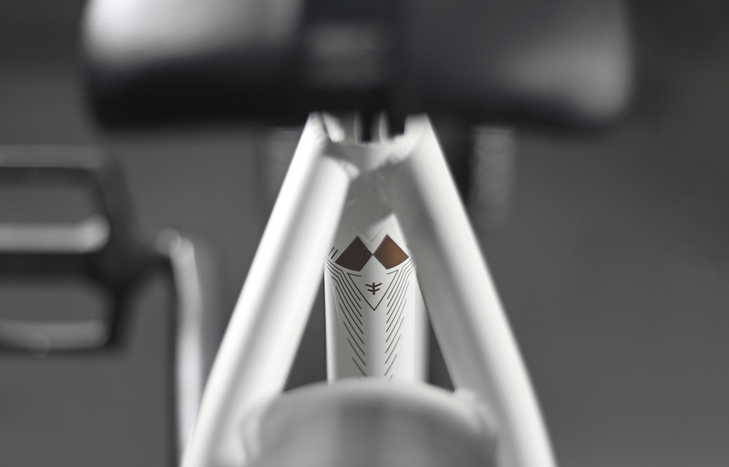 Stefan Lantschner 2016 Bike Check