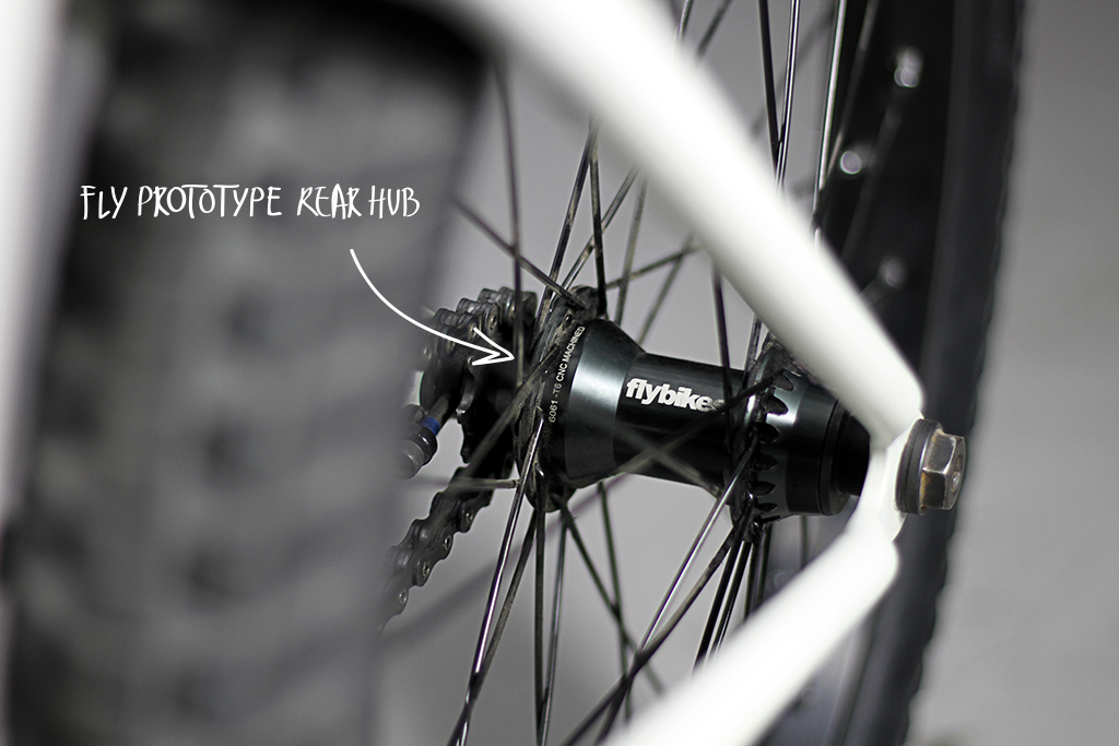 Stefan Lantschner 2016 Bike Check