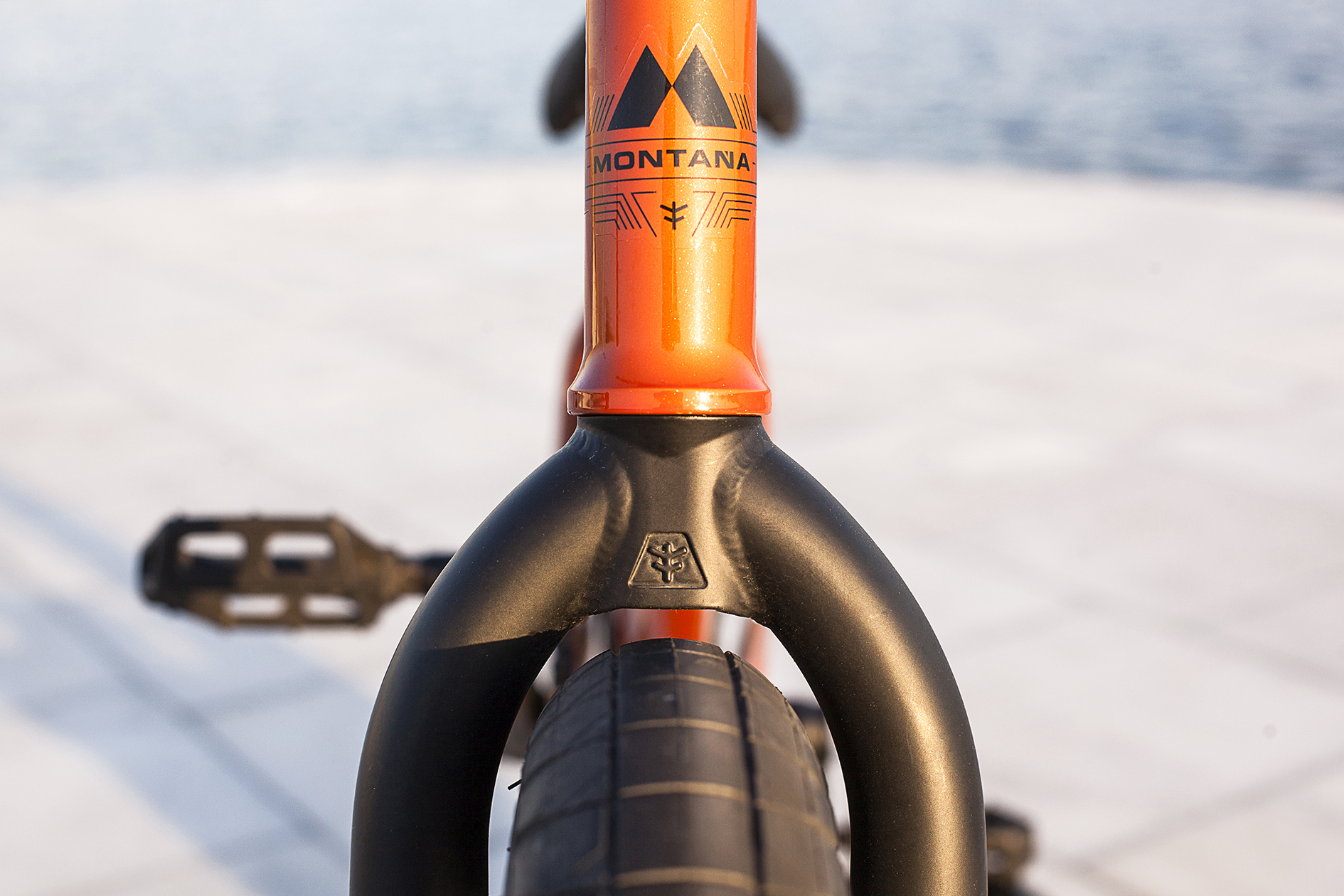 Stefan Lantschner 2017 Montaña Bike Check