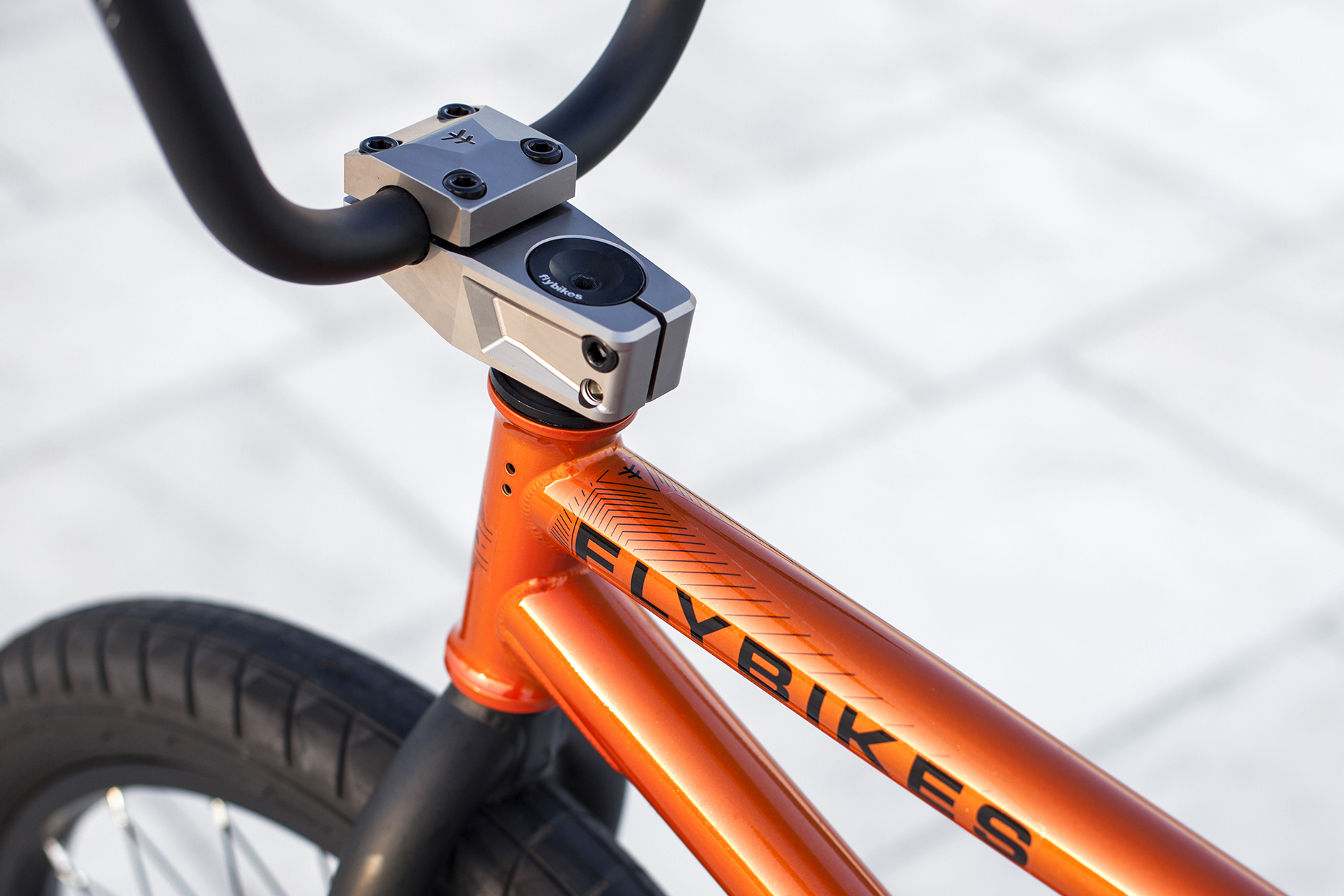 Stefan Lantschner 2017 Montaña Bike Check