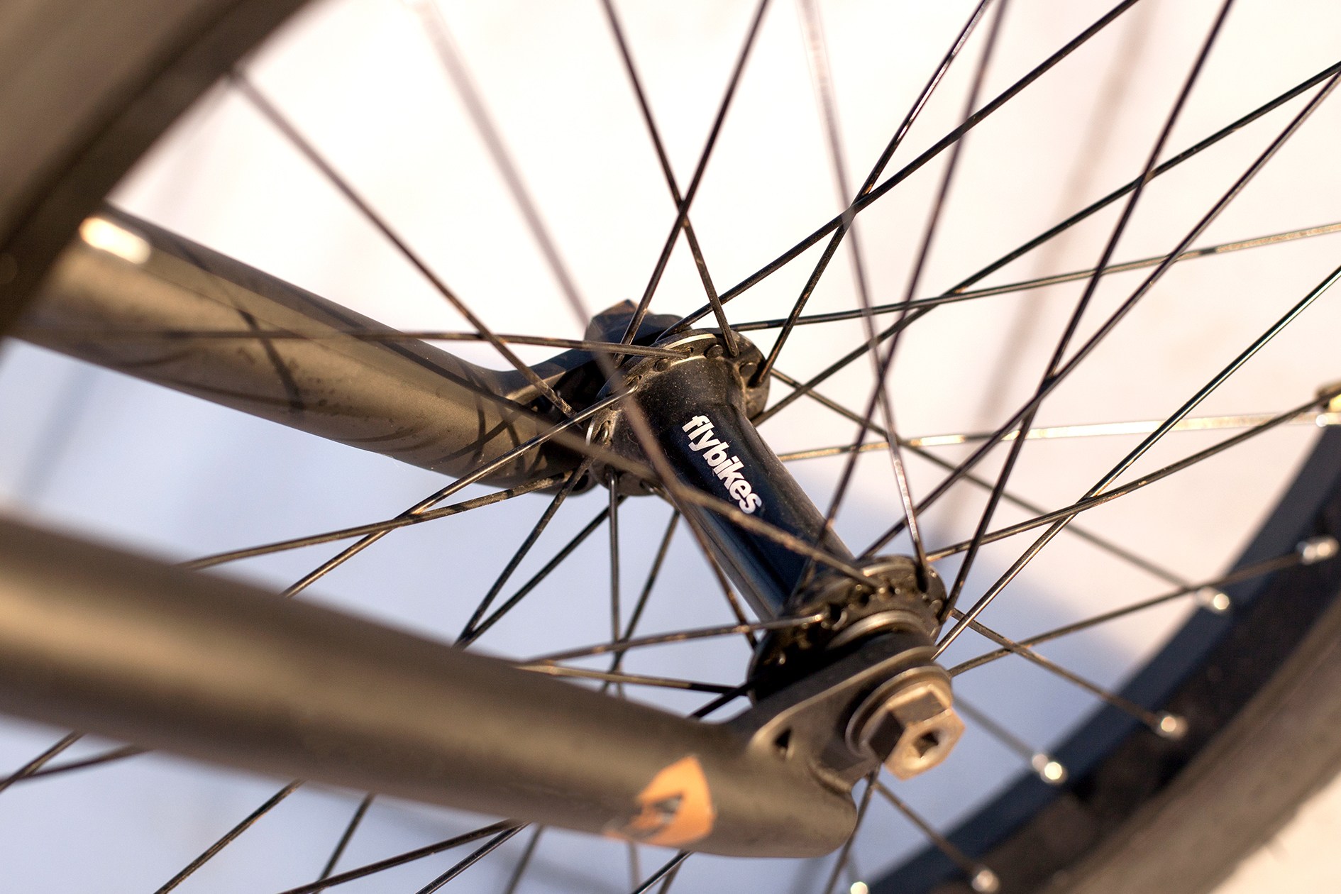 Stefan Lantschner 2017 Montaña Bike Check
