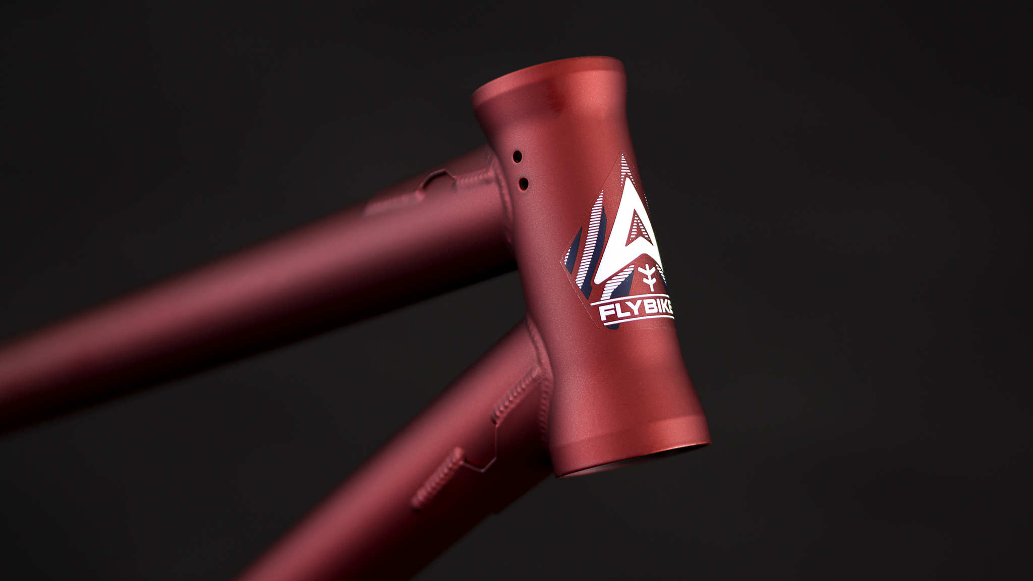 2019 Sneak Peek - Larry Edgar Signature Aire Frame