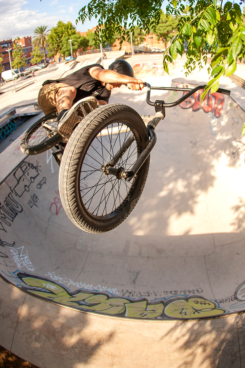 Sergio's interview and bikecheck on Digbmx!