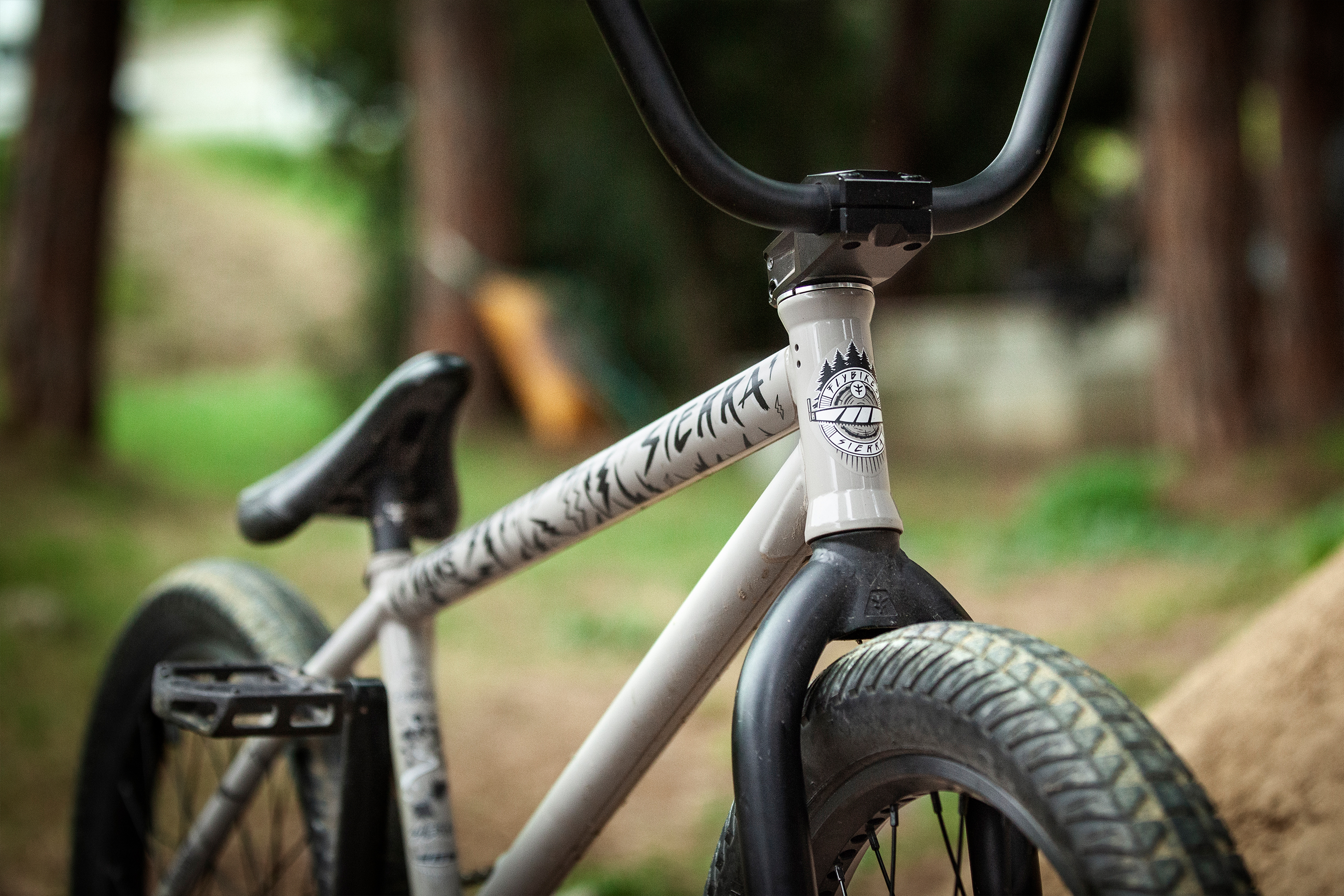 Sergio's interview and bikecheck on Digbmx!