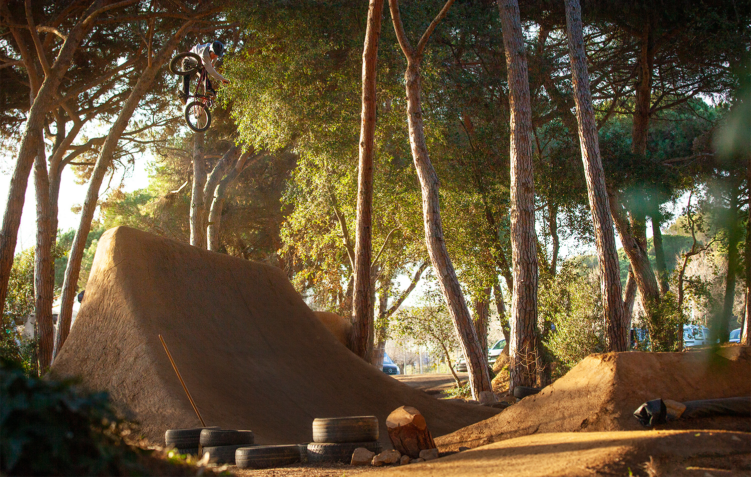 Sergio Layos' Setup, Q&A