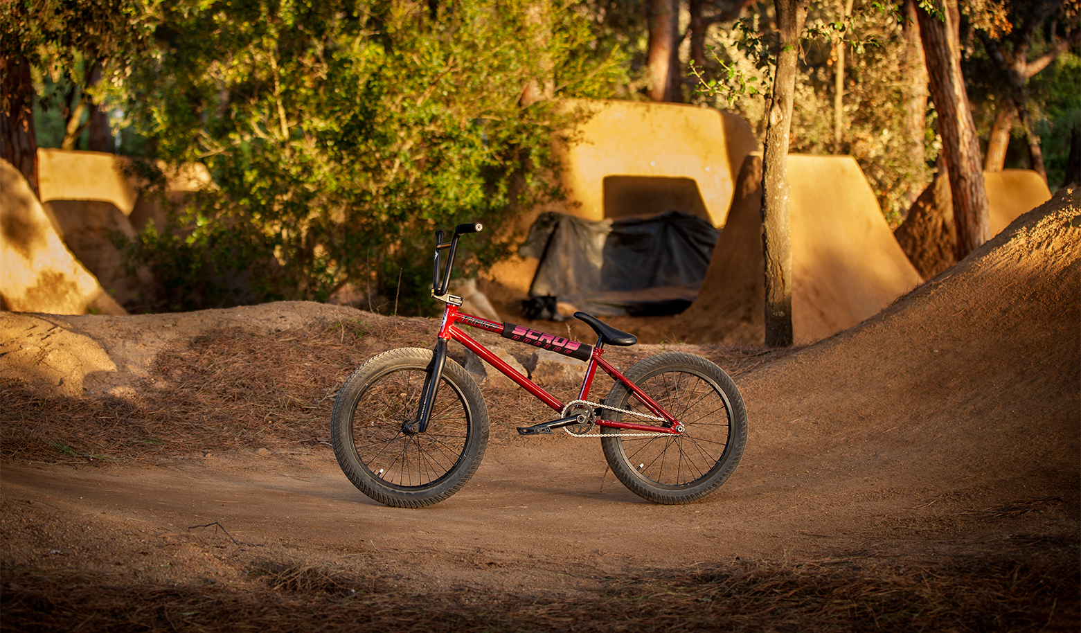 Sergio Layos' Setup, Q&A