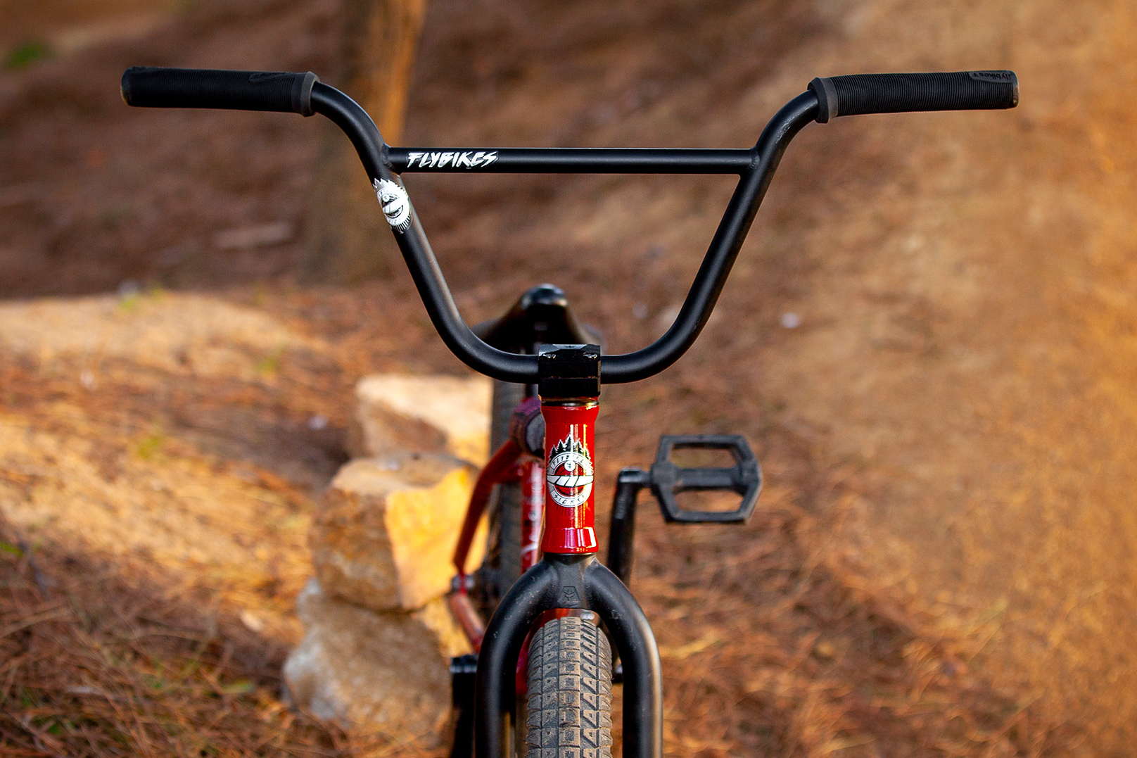 Sergio Layos' Setup, Q&A