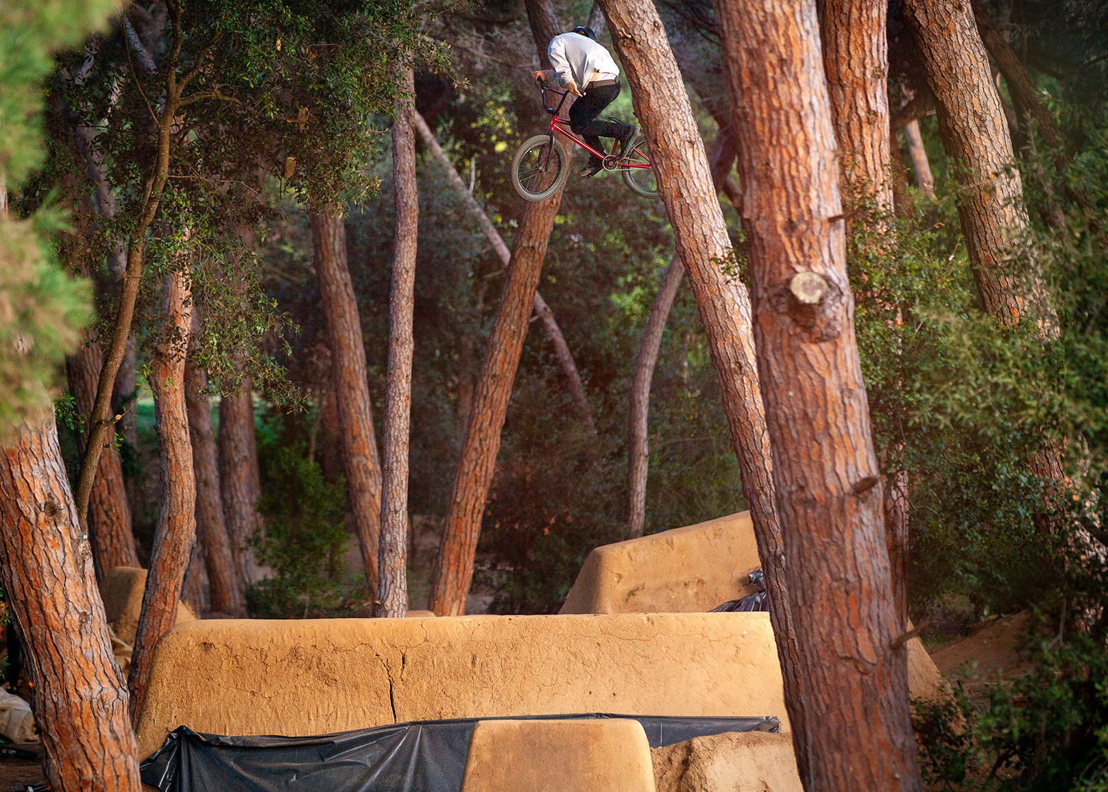 Sergio Layos' Setup, Q&A