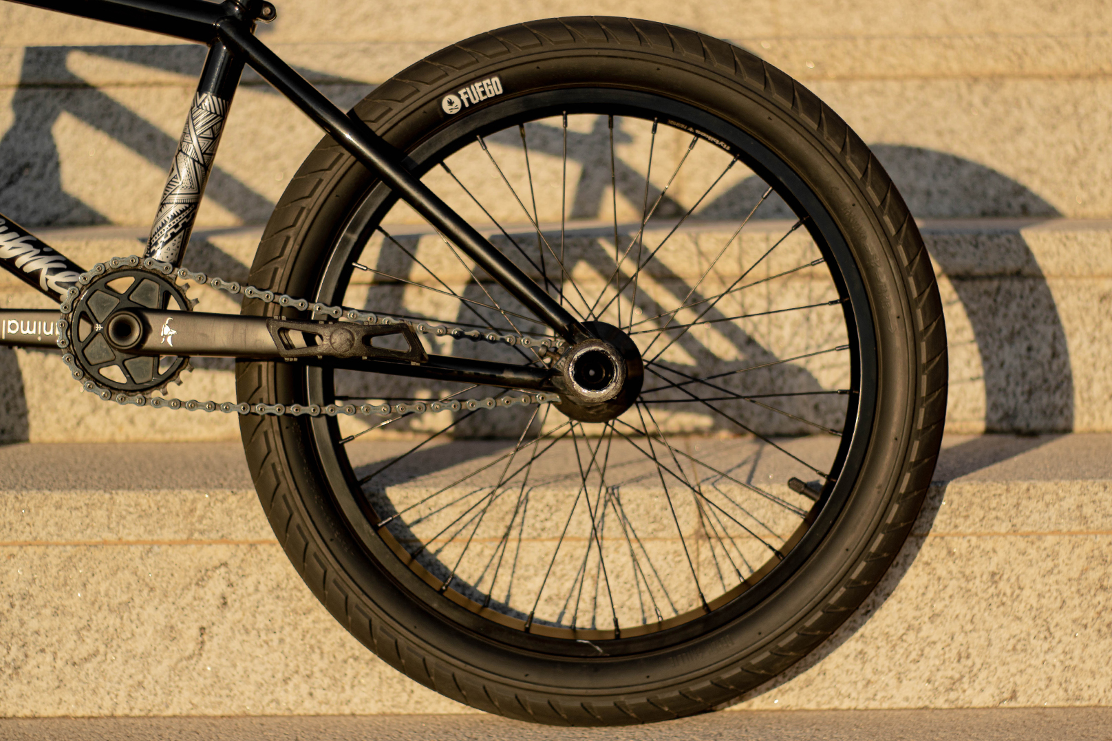 Courage's signature Savanna Setup in Gloss Black