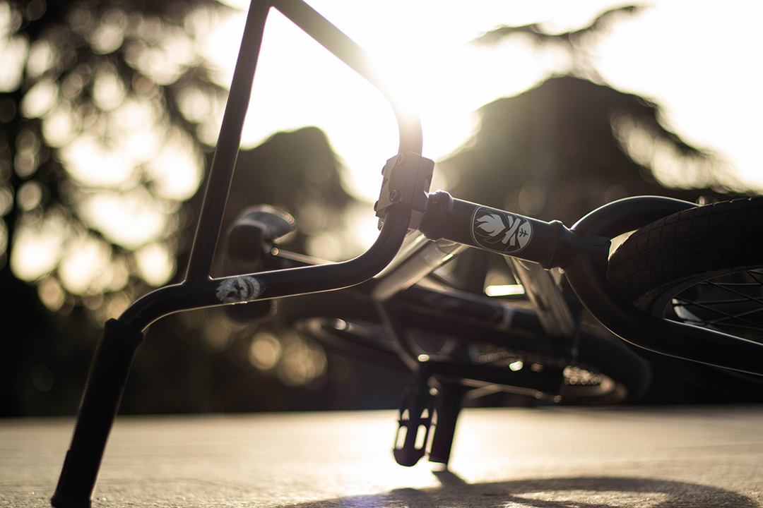 Varo's Setup with Magneto Freecoaster