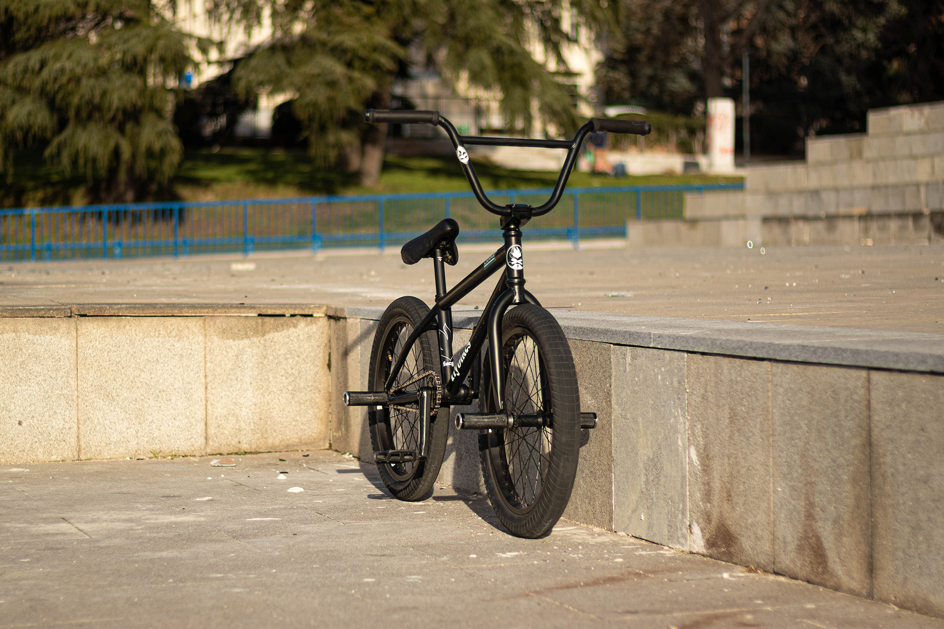 Varo's Setup with Magneto Freecoaster