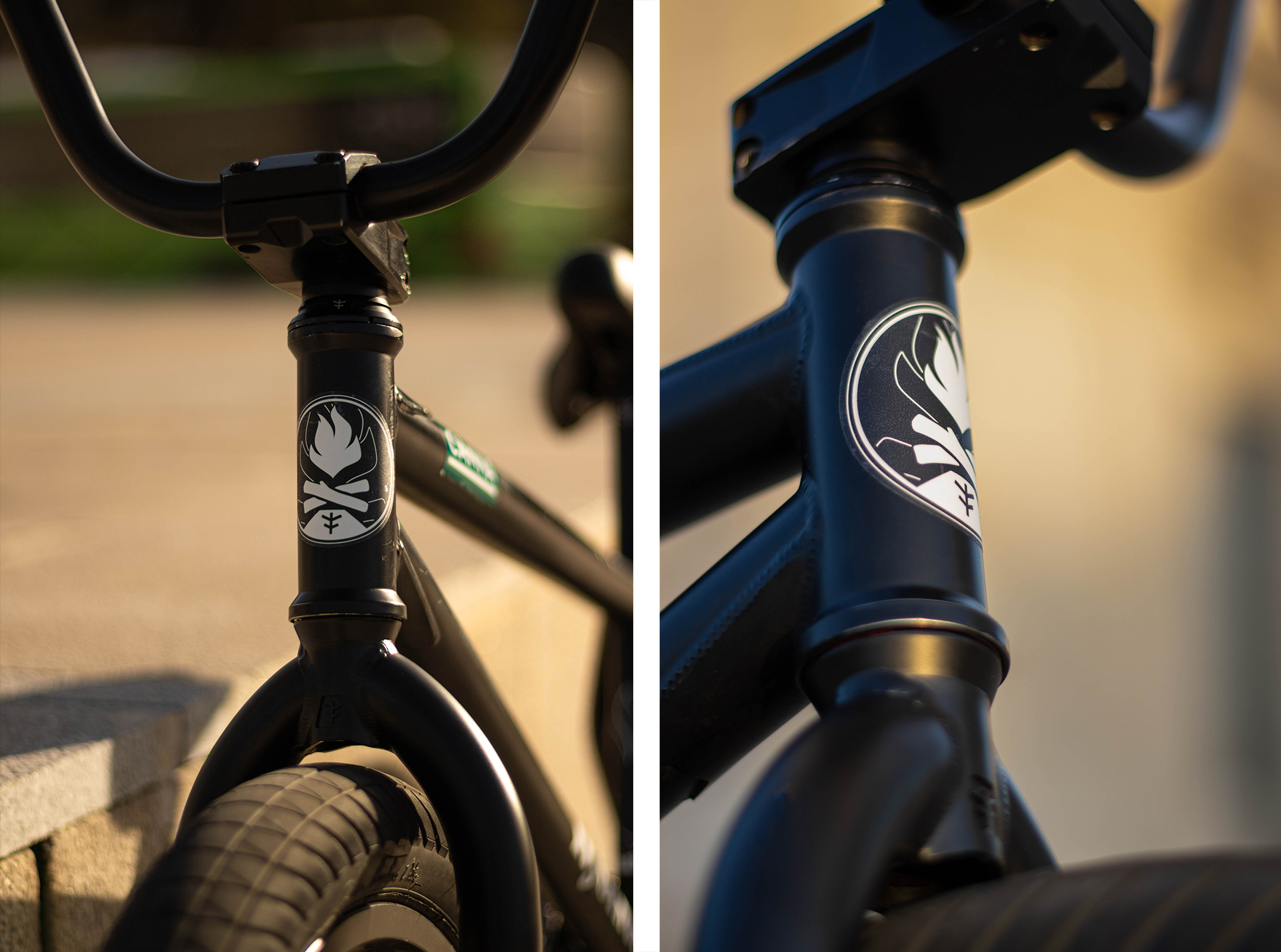 Varo's Setup with Magneto Freecoaster