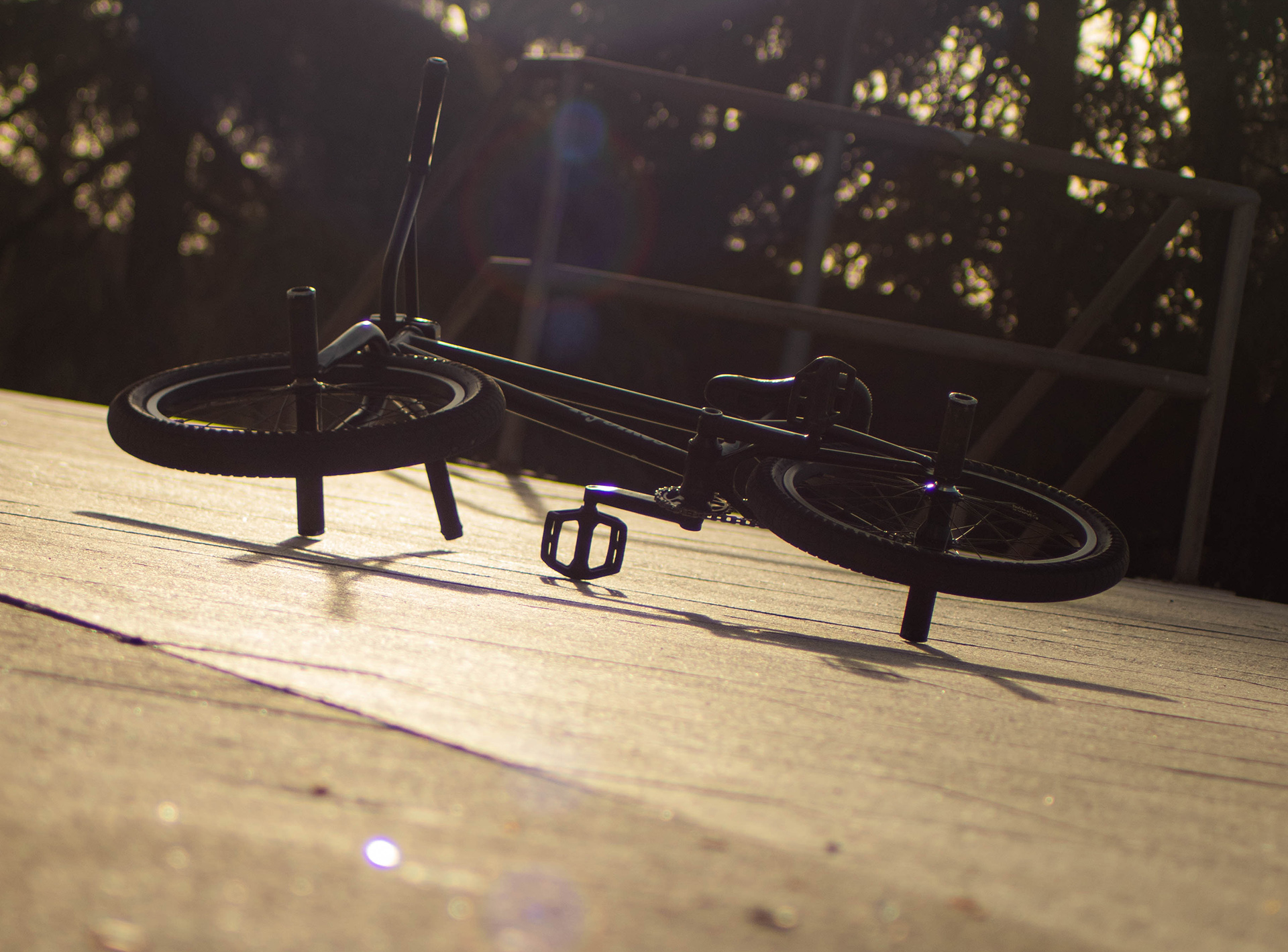 Varo's Setup with Magneto Freecoaster