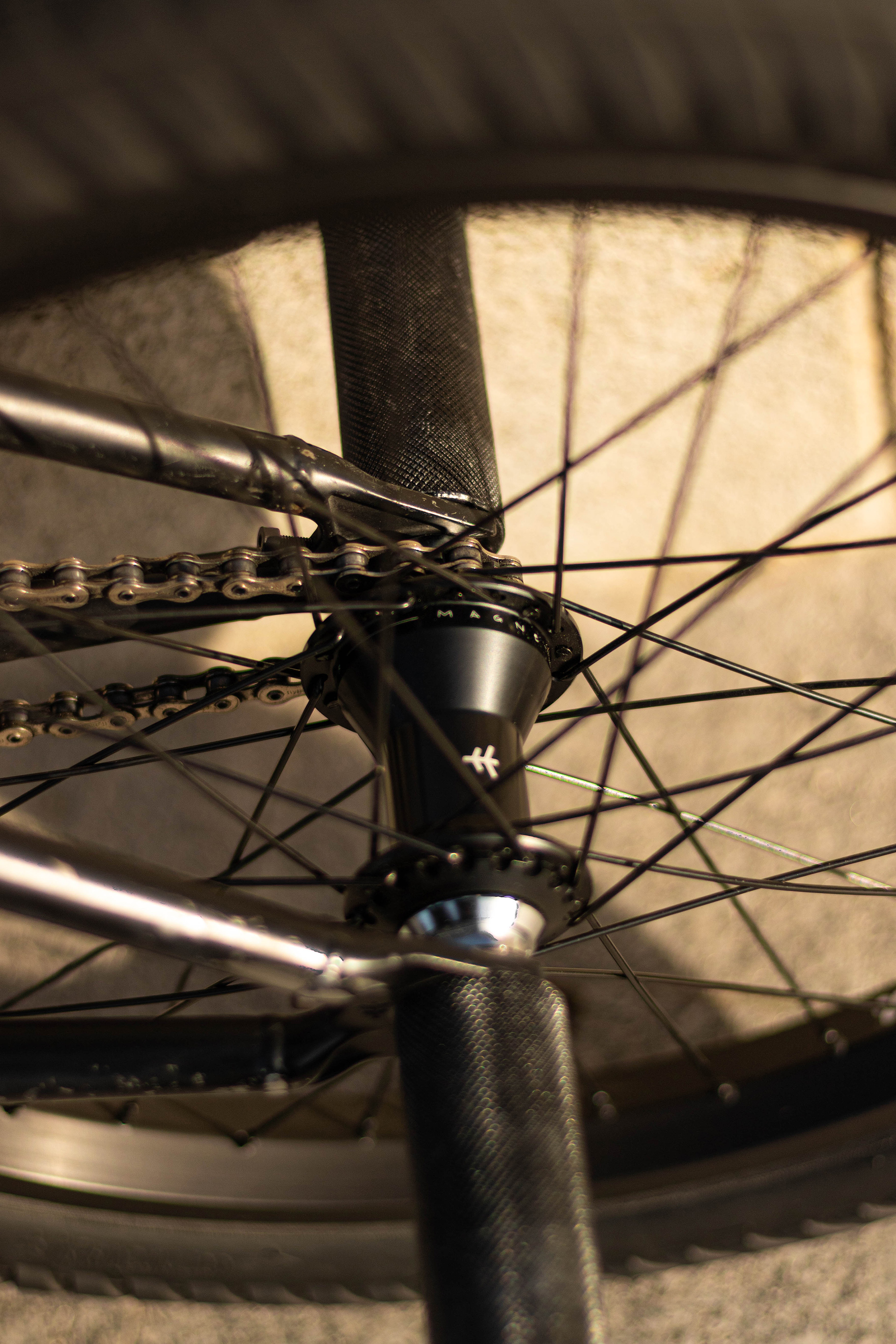 Varo's Setup with Magneto Freecoaster