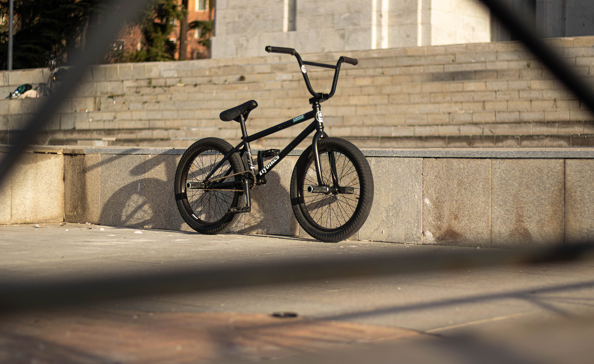 Varo's Setup with Magneto Freecoaster