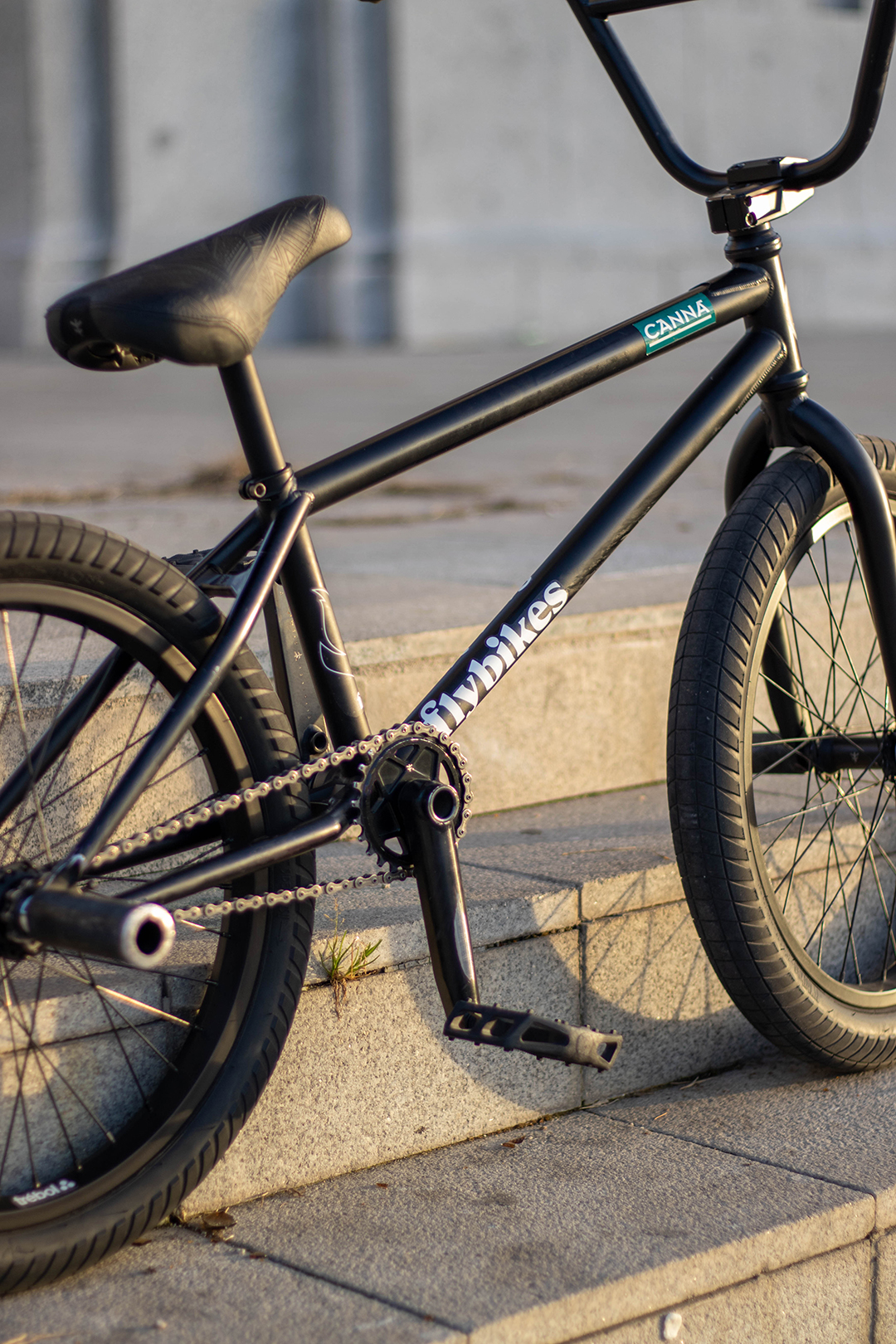 Varo's Setup with Magneto Freecoaster