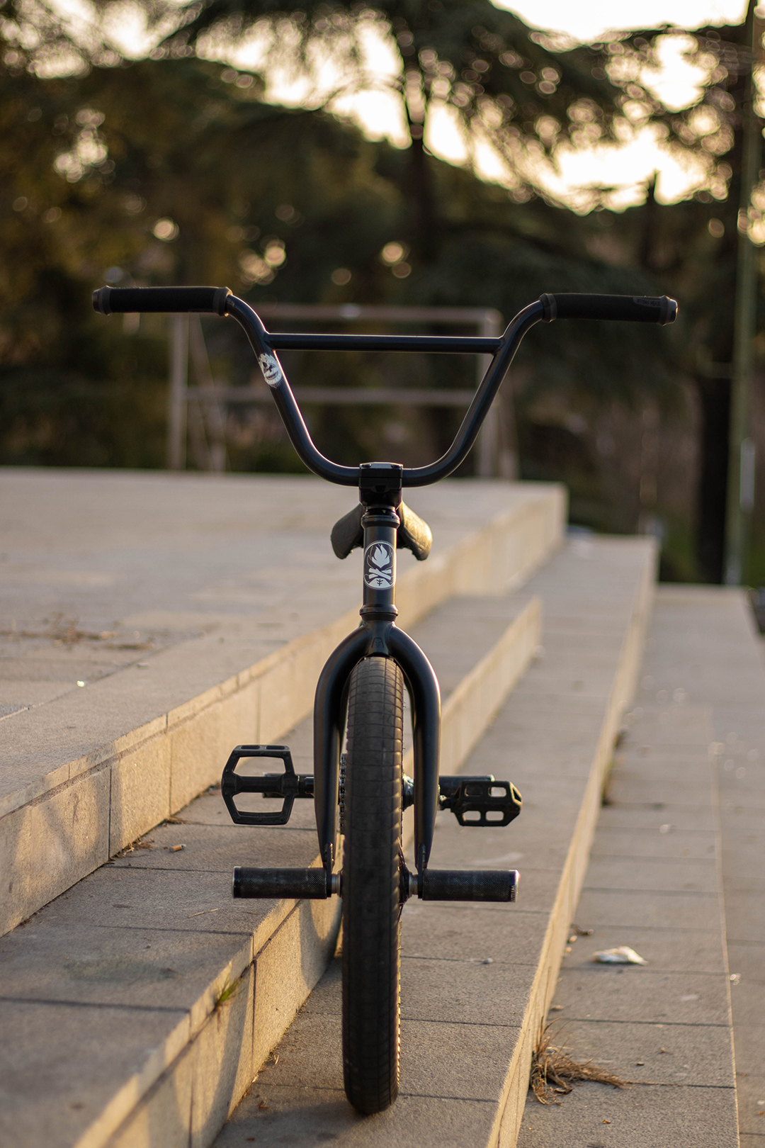 Varo's Setup with Magneto Freecoaster